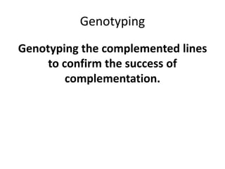 Genotyping
Genotyping the complemented lines
to confirm the success of
complementation.
 