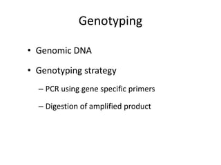 Genotyping
• Genomic DNA
• Genotyping strategy
– PCR using gene specific primers
– Digestion of amplified product
 
