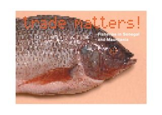 trade matters! 
Fisheries in Senegal 
and Mauritania 
 
