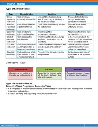tissues (class- 9th notes) | PDF