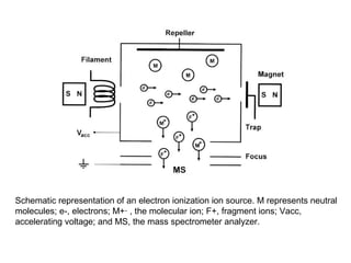Schematic representation of an electron ionization ion source. M represents neutral
molecules; e-, electrons; M+· , the molecular ion; F+, fragment ions; Vacc,
accelerating voltage; and MS, the mass spectrometer analyzer.
 