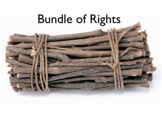 Bundle of Rights 
 