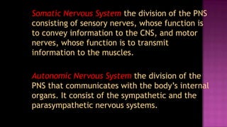 Somatic Nervous System the division of the PNS
consisting of sensory nerves, whose function is
to convey information to the CNS, and motor
nerves, whose function is to transmit
information to the muscles.

Autonomic Nervous System the division of the
PNS that communicates with the body’s internal
organs. It consist of the sympathetic and the
parasympathetic nervous systems.
 