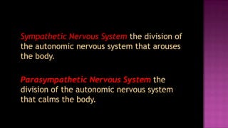 Sympathetic Nervous System the division of
the autonomic nervous system that arouses
the body.

Parasympathetic Nervous System the
division of the autonomic nervous system
that calms the body.
 