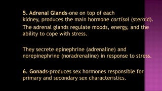 5. Adrenal Glands-one on top of each
kidney, produces the main hormone cortisol (steroid).
The adrenal glands regulate moods, energy, and the
ability to cope with stress.

They secrete epinephrine (adrenaline) and
norepinephrine (noradrenaline) in response to stress.

6. Gonads-produces sex hormones responsible for
primary and secondary sex characteristics.
 