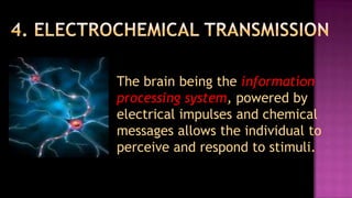 The brain being the information
processing system, powered by
electrical impulses and chemical
messages allows the individual to
perceive and respond to stimuli.
 