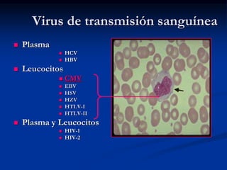Virus de transmisión sanguínea
 Plasma
 HCV
 HBV
 Leucocitos
 CMV
 EBV
 HSV
 HZV
 HTLV-I
 HTLV-II
 Plasma y Leucocitos
 HIV-1
 HIV-2
 
