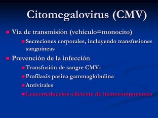 Citomegalovirus (CMV)
 Vía de transmisión (vehículo=monocito)
 Secreciones corporales, incluyendo transfusiones
sanguíneas
 Prevención de la infección
 Transfusión de sangre CMV-
 Profilaxis pasiva gammaglobulina
 Antivirales
 Leucorreducción eficiente de hemocomponentes
 