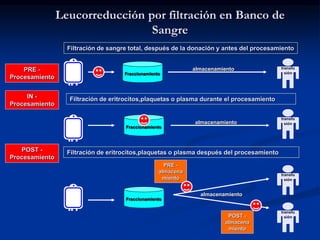Leucorreducción por filtración en Banco de
Sangre
Filtración de sangre total, después de la donación y antes del procesamiento
Filtración de eritrocitos,plaquetas o plasma durante el procesamiento
Filtración de eritrocitos,plaquetas o plasma después del procesamiento
Fraccionamiento
Fraccionamiento
Fraccionamiento
transfu
sión
transfu
sión
transfu
sión
transfu
sión
PRE -
Procesamiento
IN -
Procesamiento
POST -
Procesamiento
PRE -
almacena
miento
POST -
almacena
miento
almacenamiento
almacenamiento
almacenamiento
 