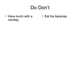 Do Don’t
• Have lunch with a
monkey
• Eat his bananas
 