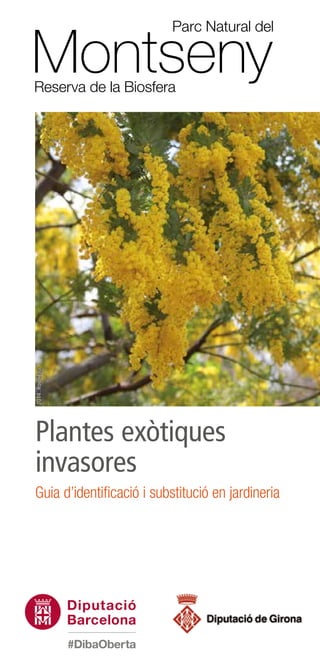 Plantes exòtiques
invasores
Guia d’identificació i substitució en jardineria
2014.Roozitaa
 