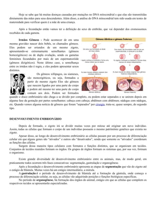 Hoje se sabe que há muitas doenças causadas por mutações no DNA mitocondrial e que elas são transmitidas
diretamente das mães para seus descendentes. Além disso, a análise do DNA mitocondrial tem sido usada em testes de
maternidade para verificar quem é a mãe de uma criança.
Após a fecundação então vamos ter a definição do sexo do embrião, que vai depender dos cromossomos
recebidos de cada gameta.
Irmãos Gêmeos - Pode acontecer de em uma
mesma gravidez nascer dois bebês, os chamados gêmeos.
Eles podem ser oriundos de um mesmo zigoto,
apresentando-se extremamente semelhantes (gêmeos
homozigóticos) ou de dupla ovulação, sendo os gametas
femininos fecundados por mais de um espermatozóide
(gêmeos dizigóticos). Neste último caso, a semelhança
entre os irmãos não é regra, e eles podem apresentar sexos
distintos.
Os gêmeos xifópagos, ou siameses,
são monozigóticos, ou seja, formados a
partir do mesmo zigoto Eles são gêmeos
que nascem ligados por uma parte do corpo
e podem até mesmo ter uma parte do corpo
comum aos dois. Podem ser formados
quando o disco embrionário não chega a se dividir por completo, ou podem estar separados e se unirem depois em
alguma fase da gestação por partes semelhantes: cabeça com cabeça; abdômen com abdômen; nádegas com nádegas,
etc. Quando vemos alguma notícia de gêmeos que foram "separados" por cirurgia, trata-se, quase sempre, do segundo
tipo.
DESENVOLVIMENTO EMBRIONÁRIO
Depois de formado, o zigoto irá se dividir muitas vezes por mitose até originar um novo indivíduo.
Assim, todas as células que formam o corpo de um indivíduo possuem o mesmo patrimônio genético que existia no
zigoto.
Apesar disso, ao longo do desenvolvimento embrionário as células passam por um processo de diferenciação
celular em que alguns genes são “ativados” e outros são “desativados”, sendo que somente os “ativados” coordenam
as funções das células.
Surgem dessa maneira tipos celulares com formatos e funções distintos, que se organizam em tecidos.
Conjuntos de tecidos reunidos formam os órgãos. Os grupos de órgãos formam os sistemas que, por sua vez, formam
o organismo.
Existe grande diversidade de desenvolvimento embrionário entre os animais, mas, de modo geral, em
praticamente todos ocorrem três fases consecutivas: segmentação, gastrulação e organogênese.
Após a fecundação o desenvolvimento embrionário apresenta as etapas de segmentação que vão do zigoto até
o estágio de blástula. Muitas vezes há um estágio intermediário, a mórula.
A gastrulação é o período de desenvolvimento de blástula até a formação da gástrula, onde começa o
processo de diferenciação celular, ou seja, as células vão adquirindo posições e funções biológicas específicas.
No período de organogênese, há formação dos órgãos do animal, estágio em que as células que compõem os
respectivos tecidos se apresentarão especializadas.
 