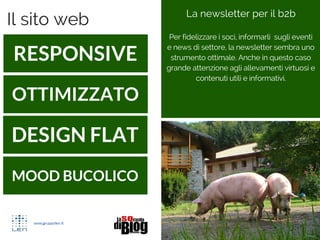 Il sito web
OTTIMIZZATO
RESPONSIVE
MOOD BUCOLICO
DESIGN FLAT
La newsletter per il b2b
Per fidelizzare i soci, informarli sugli eventi
e news di settore, la newsletter sembra uno
strumento ottimale. Anche in questo caso
grande attenzione agli allevamenti virtuosi e
contenuti utili e informativi.
 