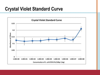 Crystal Violet Standard Curve
0
0.05
0.1
0.15
0.2
0.25
1.00E+00 1.00E+01 1.00E+02 1.00E+03 1.00E+04 1.00E+05 1.00E+06 1.00E+07 1.00E+08
Absorbanceat570nm
Concentration of E. coli 8739 CFU/100μl (log)
Crystal Violet Standard Curve
 