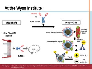 At the Wyss Institute
FcMBL (90kDa)
MBL CRD
Fc
FcMBL Magnetic opsonin
Hollow Fiber (HF)
Dialyzer
FcMBL
???
Treatment Diagnostics
Pathogen
Infected
Blood
Pathogen PAMP Capture
Detection
Agent
+TMB
Infection
No
Infection
Cartwright, M., et al., A broad spectrum infection diagnostic that detects pathogen-associated molecular patterns (PAMPS in whole blood,
EBioMedicine (2016)
 
