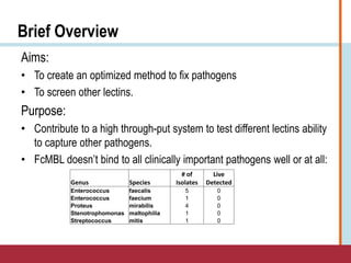 Brief Overview
Aims:
• To create an optimized method to fix pathogens
• To screen other lectins.
Purpose:
• Contribute to a high through-put system to test different lectins ability
to capture other pathogens.
• FcMBL doesn’t bind to all clinically important pathogens well or at all:
Genus Species
# of
Isolates
Live
Detected
Enterococcus faecalis 5 0
Enterococcus faecium 1 0
Proteus mirabilis 4 0
Stenotrophomonas maltophilia 1 0
Streptococcus mitis 1 0
 