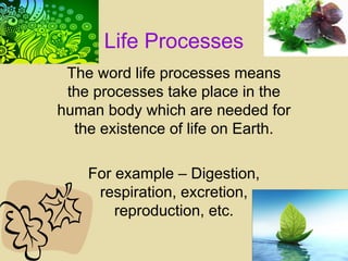 Human Process View Comprehensive Overview of Human and Plant Life Processes | PPT