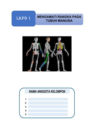 LKPD 1 MENGAMATI RANGKA PADA
TUBUH MANUSIA
 
