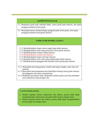 KOMPETENSI DASAR
3.1. Menganilis gerak pada makhluk hidup, sistem gerak pada manusia, dan upaya
menjaga kesehatan sistem gerak.
4.1. Menyajikan karya tentang berbagai gangguan pada sistem gerak, serta upaya
menjaga kesehatan sistemgerak manusia.
INDIKATOR PEMBELAJARAN
3.1.1 Mendeskripsikan fungsi sistem rangka bagi tubuh manusia.
3.1.2 Mengidentifikasi jenis tulang penyusun sistem gerak manusia.
3.1.3 Mendeskripsikan struktur tulang manusia.
3.1.4 Mendeskripsikan struktur otot manusia.
3.1.5 Mendeskripsikan fungsi otot bagi manusia.
3.1.6 Mengidentifikasi jenis sendi yang terdapat pada tubuh manusia.
3.1.7Mendeskripsikan gangguan dan kelainan sistem gerak pada manusia
4.1.1 Menyajikan hasil pengamatan, struktur dan fungsi ramgka, sendi, dan otot
manusia
4.1.2 Menyajikan hasil pengamatan dan identifikasi tentang sistem gerak manusia
dan gangguan serta upaya mengatasinya
4.1.3 Melakukan percobaan untuk mengetahui struktur gerak, jenis dan perbedaan
serta mekanisme kerja jaringan otot
TUJUAN PEMBELAJARAN:
1. Melalui kegiatan literasi, eksperimen dan diskusi, peserta didik dapat
mendeskripsikan sistem kerja otot pada tubuh manusia dengan benar.
2. Melalui kegiatan literasi dan diskusi, peserta didik dapat mengidentifikasi
jenis jaringan otot dengan tepat.
 