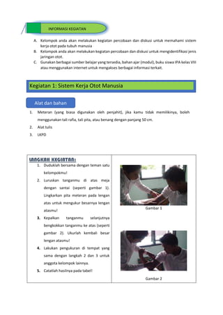 A. Kelompok anda akan melakukan kegiatan percobaan dan diskusi untuk memahami sistem
kerja otot pada tubuh manusia
B. Kelompok anda akan melakukan kegiatan percobaan dan diskusi untuk mengidentifikasi jenis
jaringan otot.
C. Gunakan berbagai sumber belajar yang tersedia, bahan ajar (modul), buku siswa IPA kelas VIII
atau menggunakan internet untuk mengakses berbagai informasi terkait.
1. Meteran (yang biasa digunakan oleh penjahit), jika kamu tidak memilikinya, boleh
menggunakan tali rafia, tali pita, atau benang dengan panjang 50 cm.
2. Alat tulis
3. LKPD
LANGKAH KEGIATAN:
1. Duduklah bersama dengan teman satu
kelompokmu!
2. Luruskan tanganmu di atas meja
dengan santai (seperti gambar 1).
Lingkarkan pita meteran pada lengan
atas untuk mengukur besarnya lengan
atasmu!
3. Kepalkan tanganmu selanjutnya
bengkokkan tanganmu ke atas (seperti
gambar 2). Ukurlah kembali besar
lengan atasmu!
4. Lakukan pengukuran di tempat yang
sama dengan langkah 2 dan 3 untuk
anggota kelompok lainnya.
5. Catatlah hasilnya pada tabel!
Gambar 1
Gambar 2
Alat dan bahan
Kegiatan 1: Sistem Kerja Otot Manusia
INFORMASI KEGIATAN
 