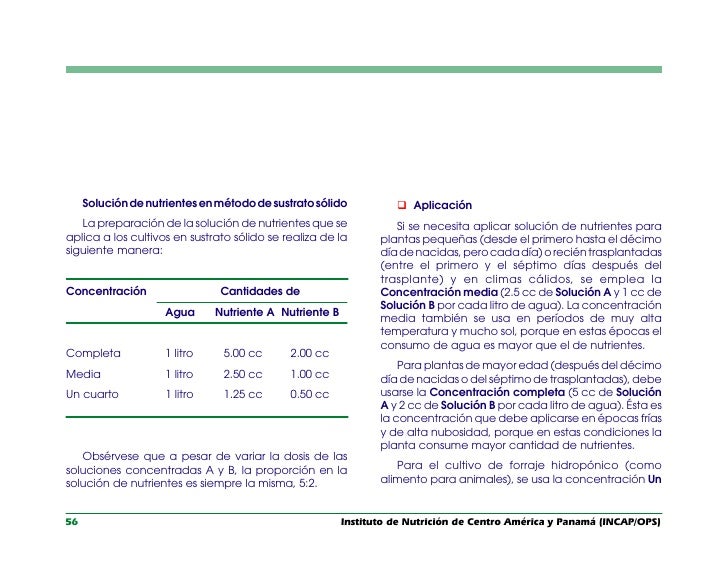 Tcnica Hidropnica Ms Convento En Exceptuado Espacio Panam Tcnica Hidropnica Ms Convento En Exceptuado Espacio Panam