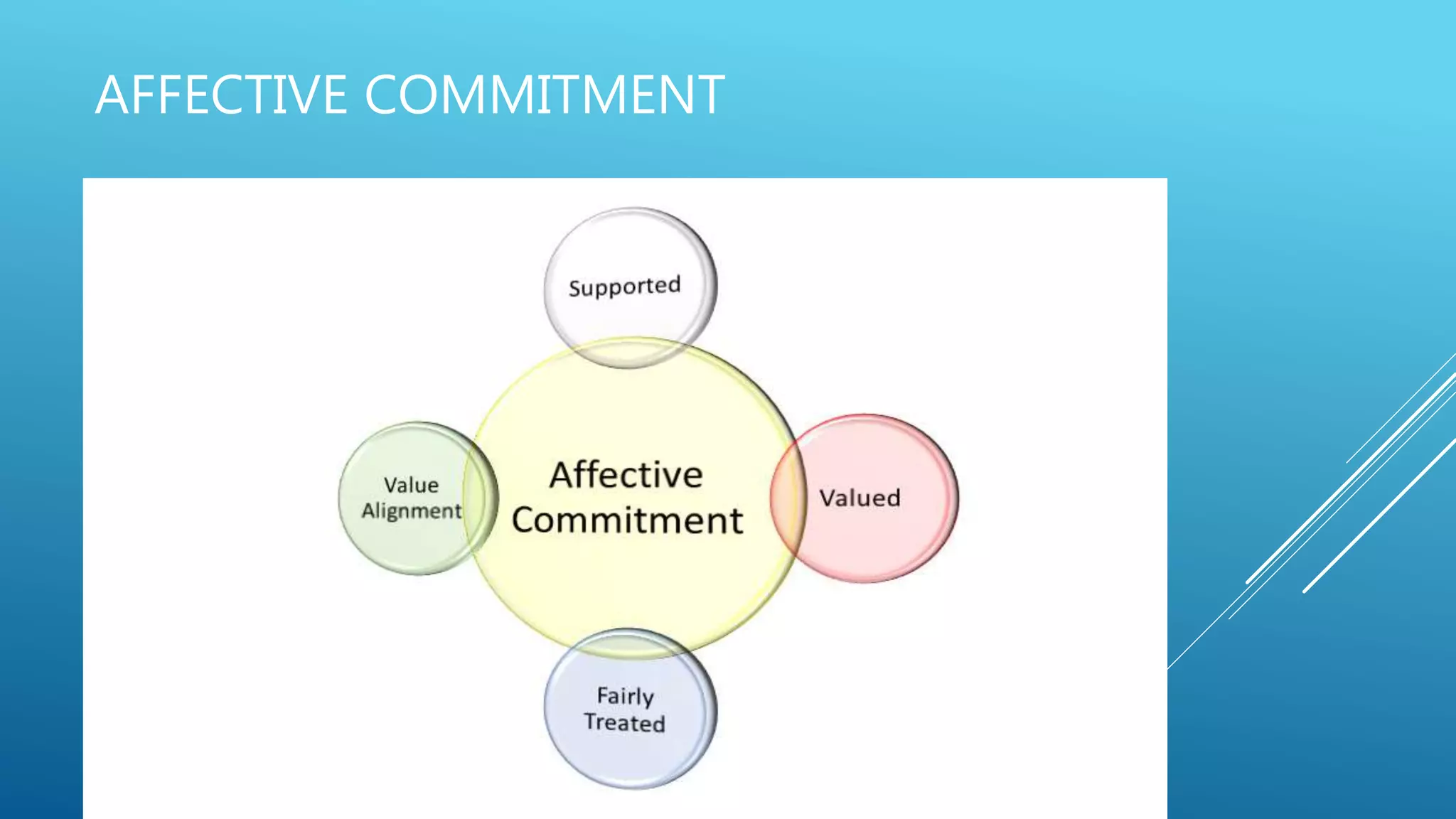 AFFECTIVE COMMITMENT