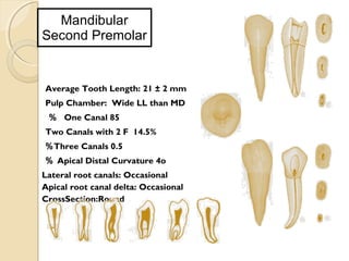 59543314 root-canal-anatomy-lecture-by-dr-hatem-al-hadainy-am cofam (1 ...