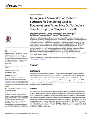 RESEARCH ARTICLE
Neuregulin-1 Administration Protocols
Sufficient for Stimulating Cardiac
Regeneration in Young Mice Do Not Induce
Somatic, Organ, or Neoplastic Growth
Balakrishnan Ganapathy1,2
, Nikitha Nandhagopal2,3
, Brian D. Polizzotti1,4
,
David Bennett5¤
, Alparslan Asan2,9
, Yijen Wu6,7
, Bernhard Kühn1,2,4,8
*
1 Department of Cardiology, Boston Children’s Hospital, Boston, MA 02115, United States of America,
2 Department of Pediatrics, University of Pittsburgh, and Richard King Mellon Institute for Pediatric Research
and Division of Pediatric Cardiology, Children’s Hospital of Pittsburgh of UPMC, Pittsburgh, PA 15224,
United States of America, 3 Department of Bioengineering, University of Pittsburgh, Pittsburgh, PA 15260,
United States of America, 4 Department of Pediatrics, Harvard Medical School, Boston, MA 02115, United
States of America, 5 Pre-clinical MRI Core, Beth Israel Deaconess Medical Center, Boston, MA 02115,
United States of America, 6 Department of Developmental Biology, School of Medicine, University of
Pittsburgh, Pittsburgh, PA 15224, United States of America, 7 Rangos Research Center Animal Imaging
Core, Children’s Hospital of Pittsburgh of UPMC, Pittsburgh, PA 15224, United States of America,
8 McGowan Institute for Regenerative Medicine, Pittsburgh, PA 15219, United States of America,
9 Interdisciplinary Biomedical Graduate Program, University of Pittsburgh School of Medicine, Pittsburgh, PA
15261, United States of America
¤ Current address: PAREXEL Informatics, Billerica, MA 01821, United States of America
* Bernhard.kuhn2@CHP.edu
Abstract
Background
We previously developed and validated a strategy for stimulating heart regeneration by
administration of recombinant neuregulin (rNRG1), a growth factor, in mice. rNRG1 stimu-
lated proliferation of heart muscle cells, cardiomyocytes, and was most effective when
administration began during the neonatal period. Our results suggested the use of rNRG1
to treat pediatric patients with heart failure. However, administration in this age group may
stimulate growth outside of the heart.
Methods
NRG1 and ErbB receptor expression was determined by RT-PCR. rNRG1 concentrations
in serum were quantified by ELISA. Mice that received protocols of recombinant neuregu-
lin1-β1 administration (rNRG1, 100 ng/g body weight, daily subcutaneous injection for the
first month of life), previously shown to induce cardiac regeneration, were examined at pre-
determined intervals. Somatic growth was quantified by weighing. Organ growth was quan-
tified by MRI and by weighing. Neoplastic growth was examined by MRI, visual inspection,
and histopathological analyses. Phospho-ERK1/2 and S6 kinase were analyzed with West-
ern blot and ELISA, respectively.
PLOS ONE | DOI:10.1371/journal.pone.0155456 May 13, 2016 1 / 20
a11111
OPEN ACCESS
Citation: Ganapathy B, Nandhagopal N, Polizzotti
BD, Bennett D, Asan A, Wu Y, et al. (2016)
Neuregulin-1 Administration Protocols Sufficient for
Stimulating Cardiac Regeneration in Young Mice Do
Not Induce Somatic, Organ, or Neoplastic Growth.
PLoS ONE 11(5): e0155456. doi:10.1371/journal.
pone.0155456
Editor: John Calvert, Emory University, UNITED
STATES
Received: November 17, 2015
Accepted: April 28, 2016
Published: May 13, 2016
Copyright: © 2016 Ganapathy et al. This is an open
access article distributed under the terms of the
Creative Commons Attribution License, which permits
unrestricted use, distribution, and reproduction in any
medium, provided the original author and source are
credited.
Data Availability Statement: All relevant data can
be found within the paper.
Funding: This research was supported by the
Department of Cardiology and the Translational
Research Program at Boston Children’s Hospital and
NIH grants R01HL106302 and K08HL085143 (to BK).
BDP was supported by the Office of Faculty
Development (Boston Children’s Hospital) and by
T32HL007572 from the NIH. The authors
acknowledge support from an NIH instrumentation
grant (RR028792) to BIDMC Boston, MA. BG and BK
 