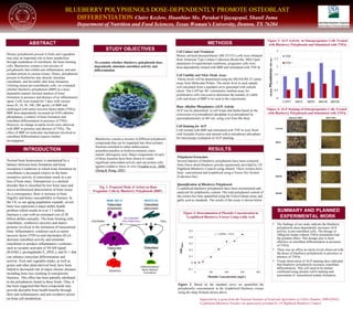 TWU Institute for Women’s Health
Denton, Texas
BLUEBERRY POLYPHENOLS DOSE-DEPENDENTLY PROMOTE OSTEOBLAST
DIFFERENTIATION Claire Kozlow, Huanbiao Mo, Parakat Vijayagopal, Shanil Juma
Department of Nutrition and Food Sciences, Texas Woman’s University, Denton, TX 76204
ABSTRACT
INTRODUCTION
STUDY OBJECTIVES
METHODS
RESULTS
SUMMARY AND PLANNED
EXPERIMENTAL WORK
Normal bone homeostasis is maintained by a
balance between bone formation and bone
resorption Conditions in which bone formation by
osteoblasts is decreased relative to the bone
resorptive activity of osteoclasts result in a net
loss of bone mass. Osteoporosis is a skeletal
disorder that is classified by low bone mass and
micro-architectural deterioration of bone tissue.
As a consequence, there is increase in bone
fragility and hence susceptibility to fracture. In
the US, as our aging population expands, severe
bone loss represents a major public health
problem which results in over 1.5 million
fractures a year with an estimated cost of 20
billion dollars annually. The bone forming cells,
osteoblasts, synthesize enzymes and matrix
proteins involved in the formation of mineralized
bone. Inflammatory cytokines such as tumor
necrosis factor (TNF)-α and interleukin (IL)-6
decrease osteoblast activity and stimulate
osteoblasts to produce inflammatory cytokines
such as receptor activator of NF-kB ligand
(RANKL), prostaglandin E2 (PGE2), and IL-1 that
can enhance osteoclast differentiation and
activity. Fruit and vegetable intake, as well as
grains and other plant-derived food, have been
linked to decreased risk of major chronic diseases
including bone loss resulting in osteoporotic
fractures. This effect has been partially attributed
to the polyphenols found in these foods. Thus, it
has been suggested that these compounds may
provide desirable bone health benefits through
their anti-inflammatory and anti-oxidative action
on bone cell metabolism.
Dietary polyphenols present in fruits and vegetables
may play an important role in bone metabolism
through modulation of osteoblasts, the bone-forming
cells. Blueberries contain a rich mixture of
polyphenolic that exhibit anti-inflammatory and anti-
oxidant actions in various tissues. Hence, polyphenols
present in blueberries may directly stimulate
osteoblasts, and favorably alter bone formation.
Utilizing mouse pre-osteoblastic cells, we evaluated
whether blueberry polyphenols (BBP) in a dose-
dependent manner increase markers of bone
formation in presence and absence of an inflammatory
agent. Cells were treated for 7 days with various
doses (0, 10, 50, 100, 200 ug/mL) of BBP and
challenged with tumor necrosis factor-alpha (TNFa).
BBP dose-dependently increased (p<0.05) alkaline
phosphatase, a marker of bone formation and
osteoblast differentiation in presence of TNFa.
However, no change in nitrite levels were observed
with BBP in presence and absence of TNFa. The
effect of BBP on molecular mechanisms involved in
osteoblast differentiation requires further
investigation. Blueberries contain a mixture of different polyphenol
compounds that can be separated into three primary
fractions enriched in either anthocyanins,
proanthocyanidins or hydroxycinnamic esters,
mainly chlorogenic acid. Major components of each
of these fractions have been shown to confer
significant antioxidant activity and can protect cells
against oxidative stress in vitro (Youdim et al., 2000;
Zheng & Wang, 2003).
To examine whether blueberry polyphenols dose-
dependently stimulate osteoblast activity and
differentiation
• The findings of our study indicate the blueberry
polyphenols dose-dependently increases ALP
activity in pre-osteoblast cells. The dosage of
100ug/ml media without TNFα stimulation had
the greatest effect. This dosage also is most
effective in osteoblast differentiation in presence
of TNFα.
• There was no effect on nitrite levels observed with
the doses of blueberry polyphenols in presence or
absence of TNFα.
• Visual observation of ALP staining does indicated
that blueberry polyphenols increases osteoblast
differentiation. This will need to be further
confirmed using alizarin red-S staining and
assessment of mineralized nodule formation.
Figure 2: Based on the standard curve we quantified the
polyphenolic concentration in the lyophilized blueberry extract
using the slope formula shown above
Cell Culture and Treatment
Mouse calvarial preosteoblastic (MC3T3-E1) cells were obtained
from American Type Culture Collection (Rockville, MD) Upon
attainment of experimental conditions, progenitor cells were
dose-dependently treated with BBP and stimulated with TNF- .α
Cell Viability and Nitric Oxide Assay
Nitrite levels will be determined using the MEASURE IT nitrite
assay from Molecular Probes. The nitrite level in each sample
will calculated from a standard curve generated with sodium
nitrite. The CellTiter 96®
colorimetric method assay for
proliferative cells was used to determine the number of viable
cells and doses of BBP to be used in the experiments.
Bone Alkaline Phosphatase (ALP) Activity
ALP was be determined in cell lysate and media based on the
conversion of p-nitrophenyl phosphate to p-nitrophenol by
spectrophotometry at 405 nm using a kit from Bio-Rad.
Cell Staining for ALP
Cells treated with BBP and stimulated with TNF-α were fixed
with formalin fixative and stained with p-nitrophenyl phosphate
for microscopy evaluation of ALP stainiing.
Polyphenol Extraction
Several batches of blueberry polyphenols have been extracted
from freeze dried blueberry powder (generously provided by US
Highbush Blueberry Council) using ethanol. These extracts have
been concentrated and lyophilized using a Freeze Dry System
(Labconco Inc).
Quantification of Blueberry Polyphenols
Lyophilized blueberry polyphenols have been reconstituted and
analyzed for polphenolic content. The total polyphenol content of
the extract has been quantified using the Folin-Calteau assay and
gallic acid as standards. The results of this assay is shown below.
Fig. 1: Proposed Mode of Action on Bone
Progenitor Cells by Blueberry Polyphenols (BBP)
Figure 3: ALP Activity in Osteoprogenitor Cells Treated
with Blueberry Polyphenols and Stimulated with TNFα
Figure 4: ALP Staining of Osteoprogenitor Cells Treated
with Blueberry Polyphenols and Stimulated with TNFα
Supported by a grant from the National Institute of Food and Agriculture at USDA (Number 2009-02942).
Lyophilized Blueberry Powder was generously provided by US Highbush Blueberry Council
 
