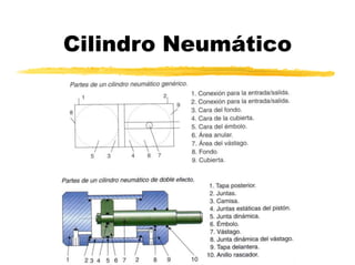 Cilindro Neumático