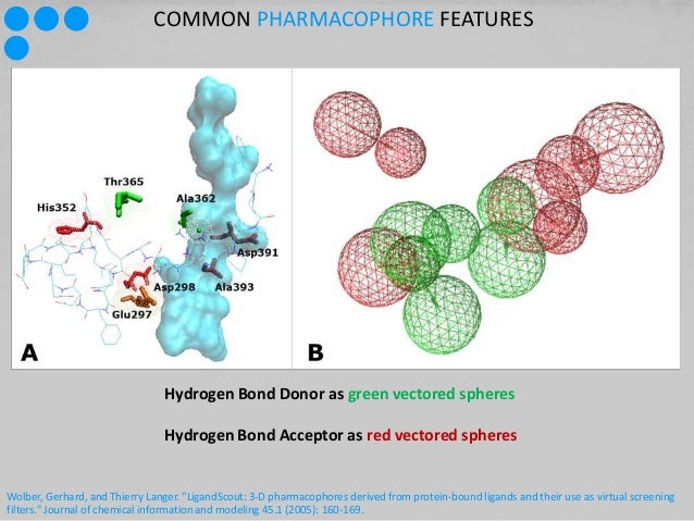 thesis molecular docking thesis molecular docking