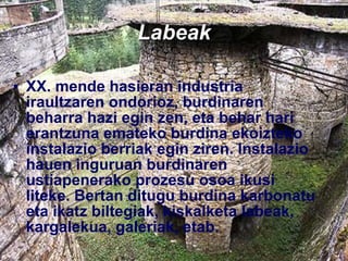 Labeak XX. mende hasieran industria iraultzaren ondorioz, burdinaren beharra hazi egin zen, eta behar hari erantzuna emateko burdina ekoizteko instalazio berriak egin ziren. Instalazio hauen inguruan burdinaren ustiapenerako prozesu osoa ikusi liteke. Bertan ditugu burdina karbonatu eta ikatz biltegiak, kiskalketa labeak, kargalekua, galeriak, etab.   