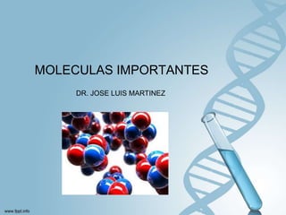 MOLECULAS IMPORTANTES
DR. JOSE LUIS MARTINEZ
 