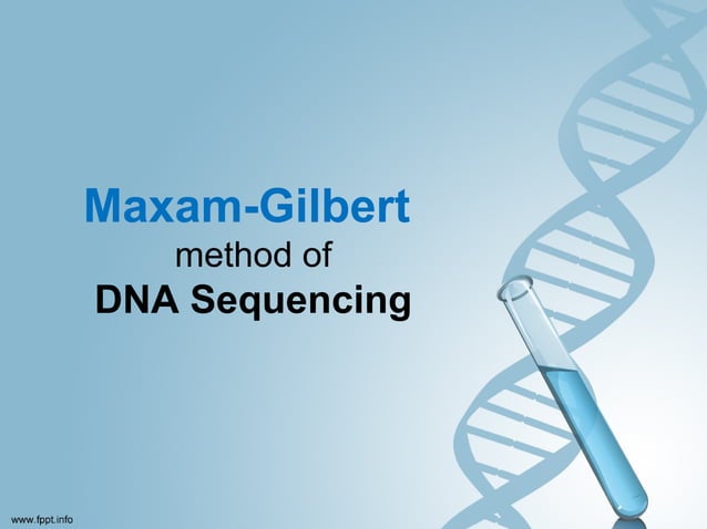Maxam-Gilbert method of DNA sequencing | PPT | Chemistry | Science