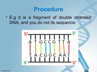 Procedure
• E.g it is a fragment of double stranded
DNA, and you do not its sequence:
 