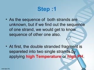 Step :1
• As the sequence of both strands are
unknown, but if we find out the sequence
of one strand, we would get to know
sequence of other one also.
• At first, the double stranded fragment is
separeted into two single strands by
applying high Temperature or high PH.
 