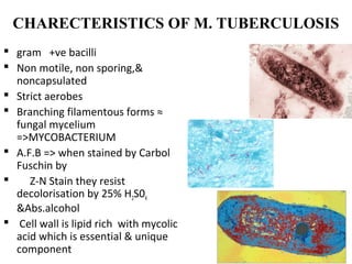 CHARECTERISTICS OF M. TUBERCULOSIS
 gram +ve bacilli
 Non motile, non sporing,&
noncapsulated
 Strict aerobes
 Branching filamentous forms ≈
fungal mycelium
=>MYCOBACTERIUM
 A.F.B => when stained by Carbol
Fuschin by
 Z-N Stain they resist
decolorisation by 25% H2S04
&Abs.alcohol
 Cell wall is lipid rich with mycolic
acid which is essential & unique
component
 