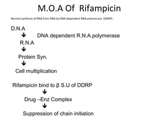 M.O.A Of Rifampicin
Normal synthesis of RNA from DNA by DNA dependent RNA polymerase (DDRP)
D.N.A
 DNA dependent R.N.A.polymerase
R.N.A

Protein Syn.

Cell multiplication
Rifampicin bind to β S.U of DDRP

Drug –Enz Complex

Suppression of chain initiation
 