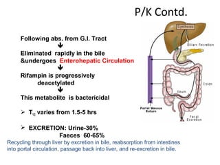 P/K Contd.
Metabolism
Following abs. from G.I. Tract

Eliminated rapidly in the bile
&undergoes Enterohepatic Circulation

Rifampin is progressively
deacetylated

This metabolite is bactericidal
 T1/2 varies from 1.5-5 hrs
 EXCRETION: Urine-30%
Faeces 60-65%
Recycling through liver by excretion in bile, reabsorption from intestines
into portal circulation, passage back into liver, and re-excretion in bile.
 