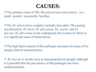 CAUSES:
The primary cause of TB, Mycobacterium tuberculosis , is a
small aerobic non-motile bacillus.
The M. tuberculosis complex includes four other TB-causing
mycobacteria: M. bovis, M. africanum, M. canetti and M.
microti. M. africanum is not widespread, but in parts of Africa it
is a significant cause of tuberculosis.
The high lipid content of this pathogen accounts for many of its
unique clinical characteristics.
 M. microti is mostly seen in immunodeficient people, although
it is possible that the prevalence of this pathogen has been
underestimated.
 