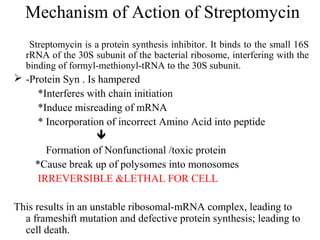 Mechanism of Action of Streptomycin
Streptomycin is a protein synthesis inhibitor. It binds to the small 16S
rRNA of the 30S subunit of the bacterial ribosome, interfering with the
binding of formyl-methionyl-tRNA to the 30S subunit.
 -Protein Syn . Is hampered
*Interferes with chain initiation
*Induce misreading of mRNA
* Incorporation of incorrect Amino Acid into peptide

Formation of Nonfunctional /toxic protein
*Cause break up of polysomes into monosomes
IRREVERSIBLE &LETHAL FOR CELL
This results in an unstable ribosomal-mRNA complex, leading to
a frameshift mutation and defective protein synthesis; leading to
cell death.
 