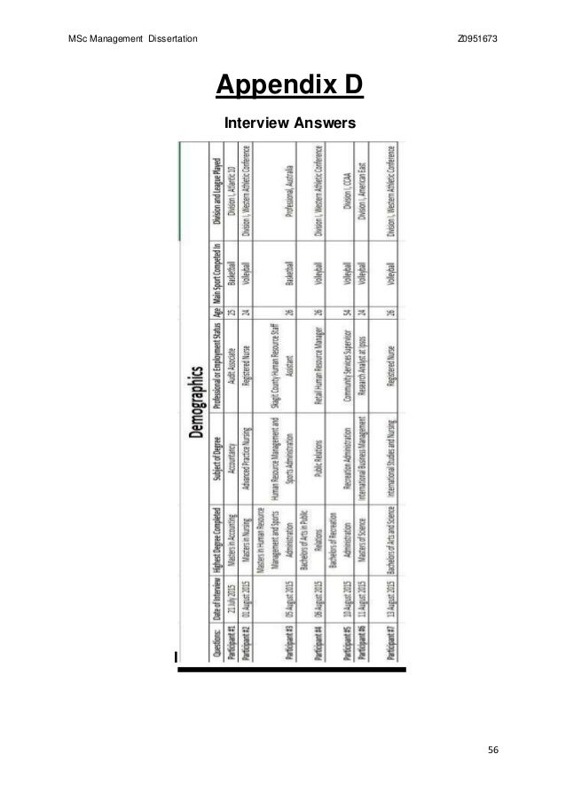 Dissertation interview appendix
