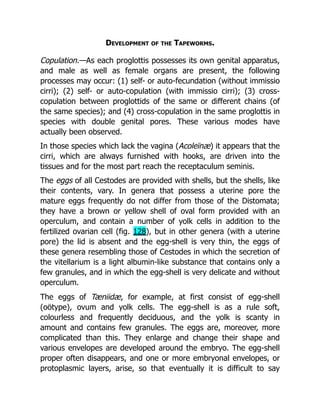 Deep Tissue Massage A Visual Guide To Techniques Rev Ed Art Riggs | PDF