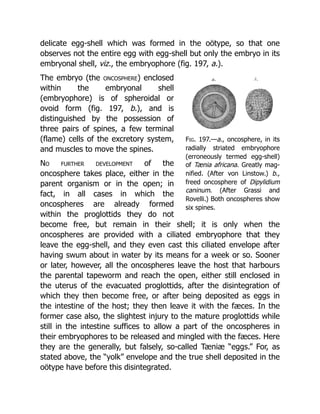 Deep Tissue Massage A Visual Guide To Techniques Rev Ed Art Riggs | PDF