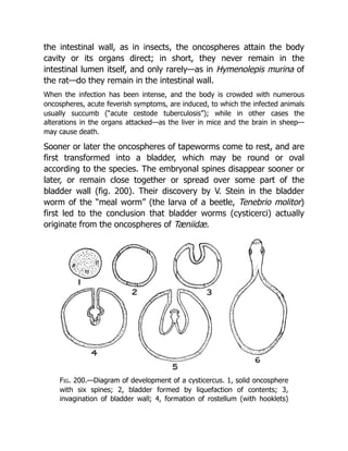 Deep Tissue Massage A Visual Guide To Techniques Rev Ed Art Riggs | PDF