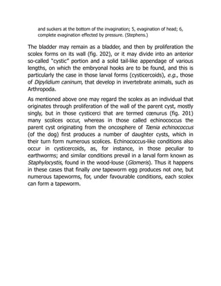 Deep Tissue Massage A Visual Guide To Techniques Rev Ed Art Riggs | PDF