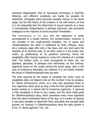 Deep Tissue Massage A Visual Guide To Techniques Rev Ed Art Riggs | PDF