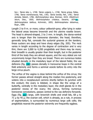 Deep Tissue Massage A Visual Guide To Techniques Rev Ed Art Riggs | PDF