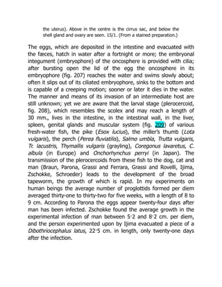 Deep Tissue Massage A Visual Guide To Techniques Rev Ed Art Riggs | PDF