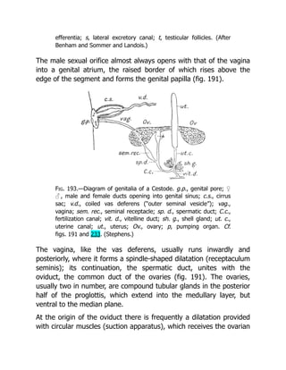 Deep Tissue Massage A Visual Guide To Techniques Rev Ed Art Riggs | PDF